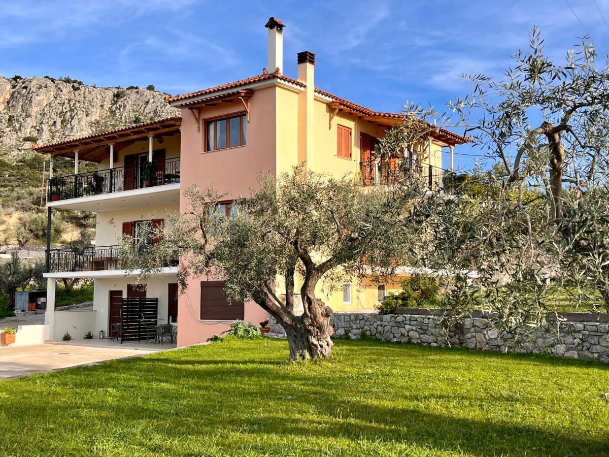 Ενtree Guest House Near Palamidi Castle Нафплион Екстериор снимка