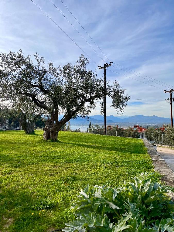 Ενtree Guest House Near Palamidi Castle Нафплион Екстериор снимка
